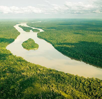 Lutter contre la déforestation exige des stratégies politiques, financières et économiques
