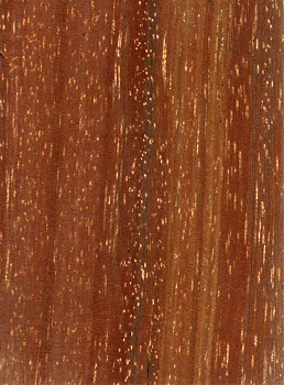 Azobe wood Lophira alata