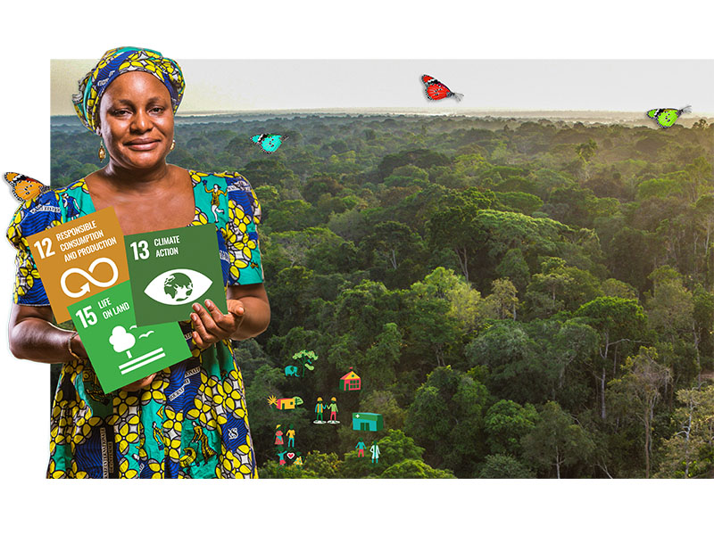 A VOS AGENDAS 9.11.2021: Co-créer des solutions avec les forêts tropicales naturelles : la République du Congo et la filière bois