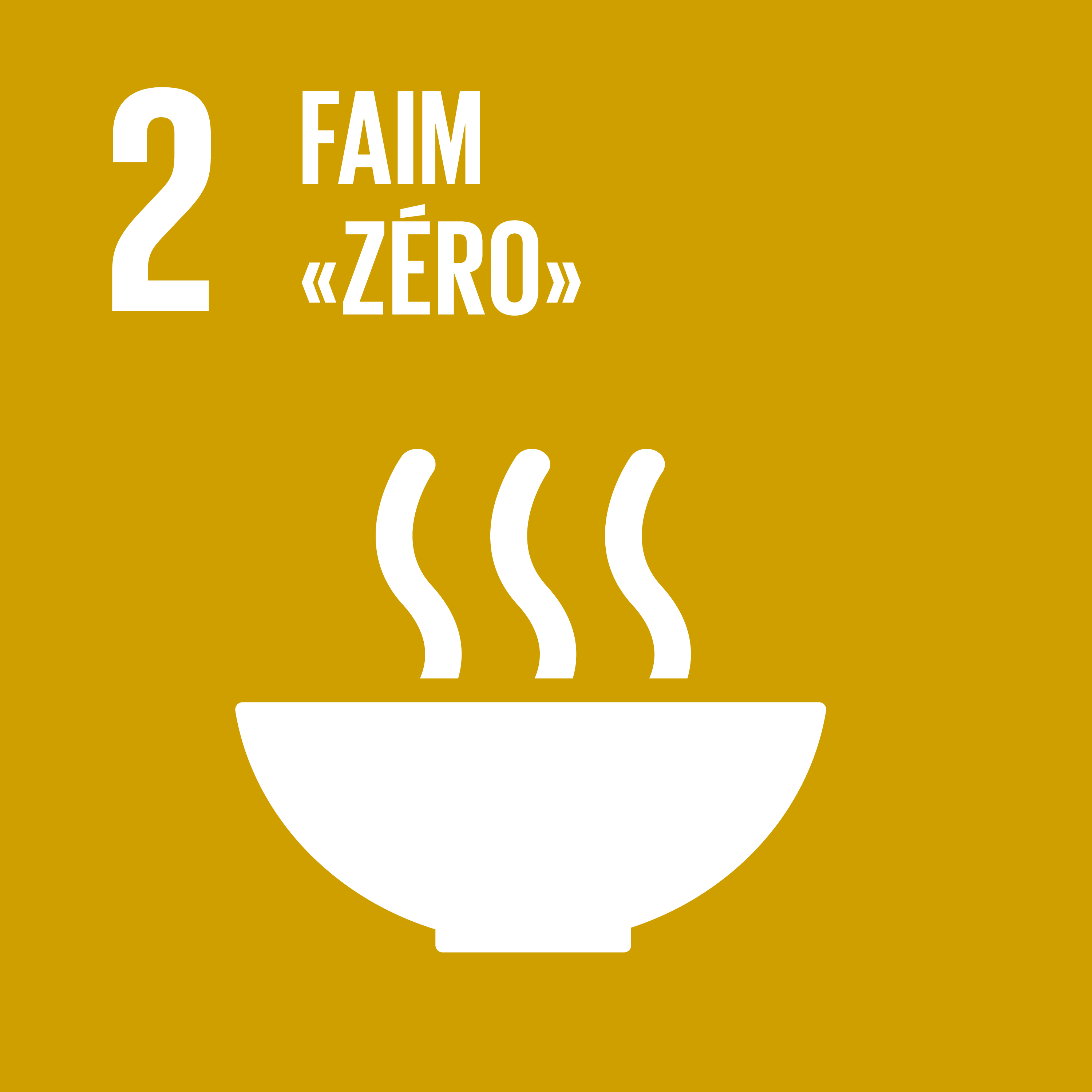F SDG goals icons individual cmyk 02