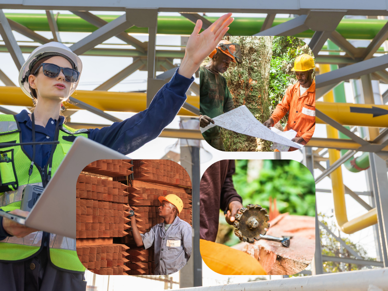 Africa: volatility upstream, stability downstream with our hardwood