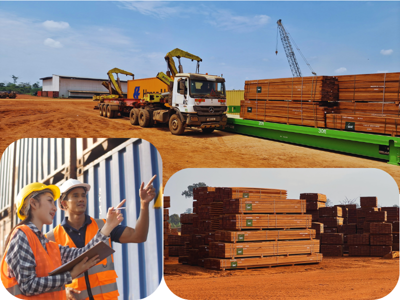 Asia: disciplined markets, rising standards—and how our hardwood matches them