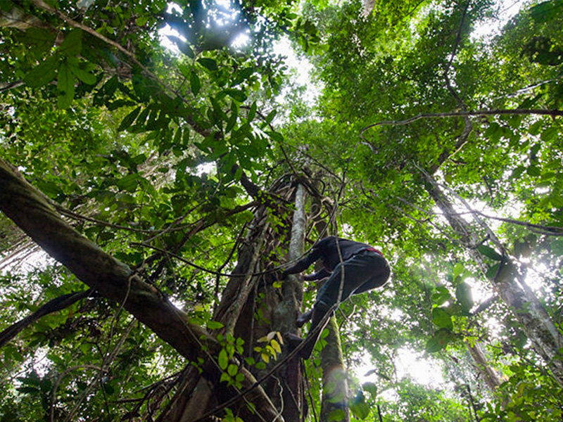 Ndongo bel poivre INTERHOLCO 3