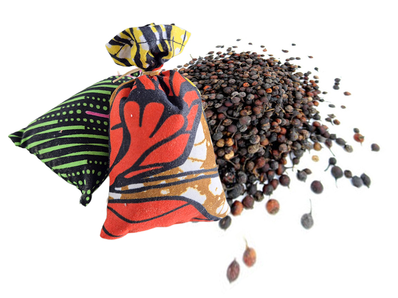 Wild ‘Ndongo bel’ pepper, a forest spice with purpose