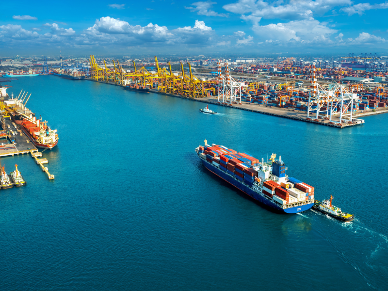 Timber flows from forest to market 2