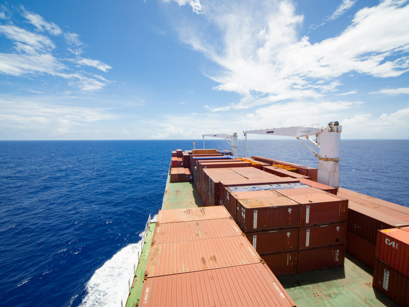 Timber flows from forest to market 3 Kurt Cotoaga