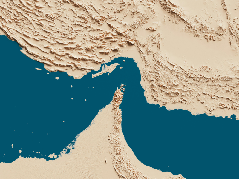 Reshaping Timber Flows From Forest to Market[