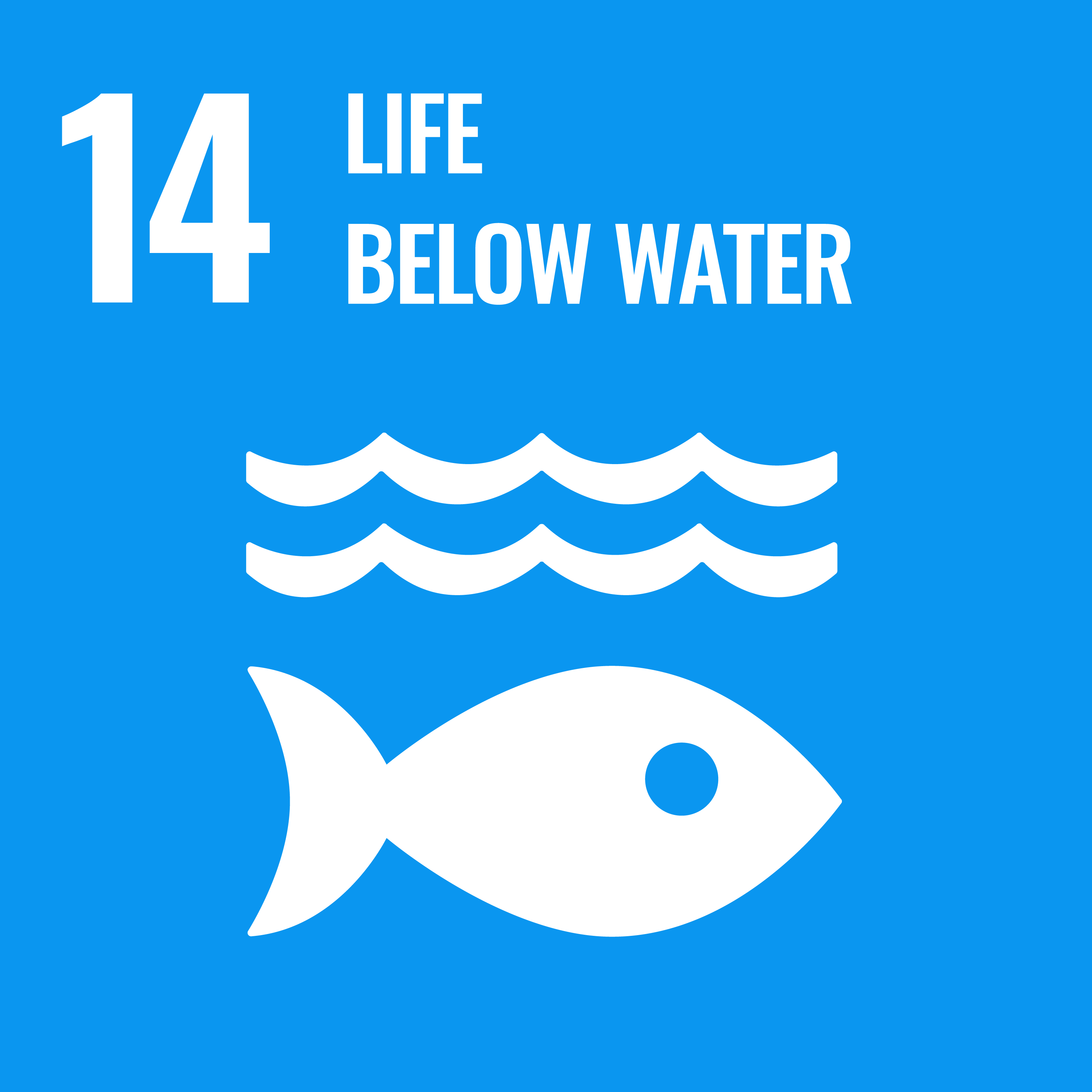 Our contribution to SDG 14