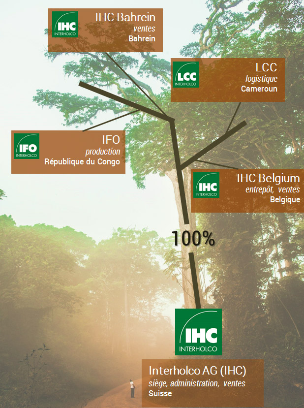 Our legal structure Interholco