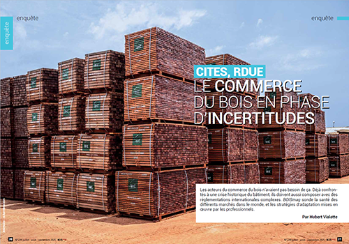 ITTO Council Panama 2025 Interholco 61 ITTC