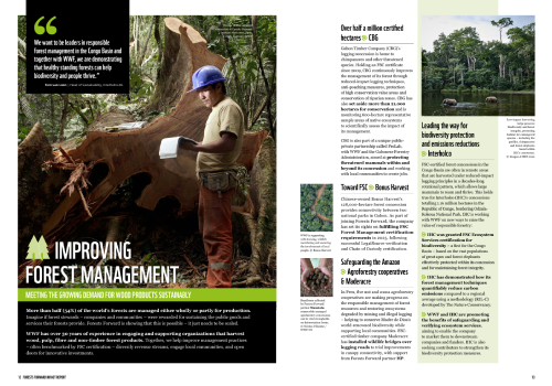 Forests forward WWF Impact Report 2025